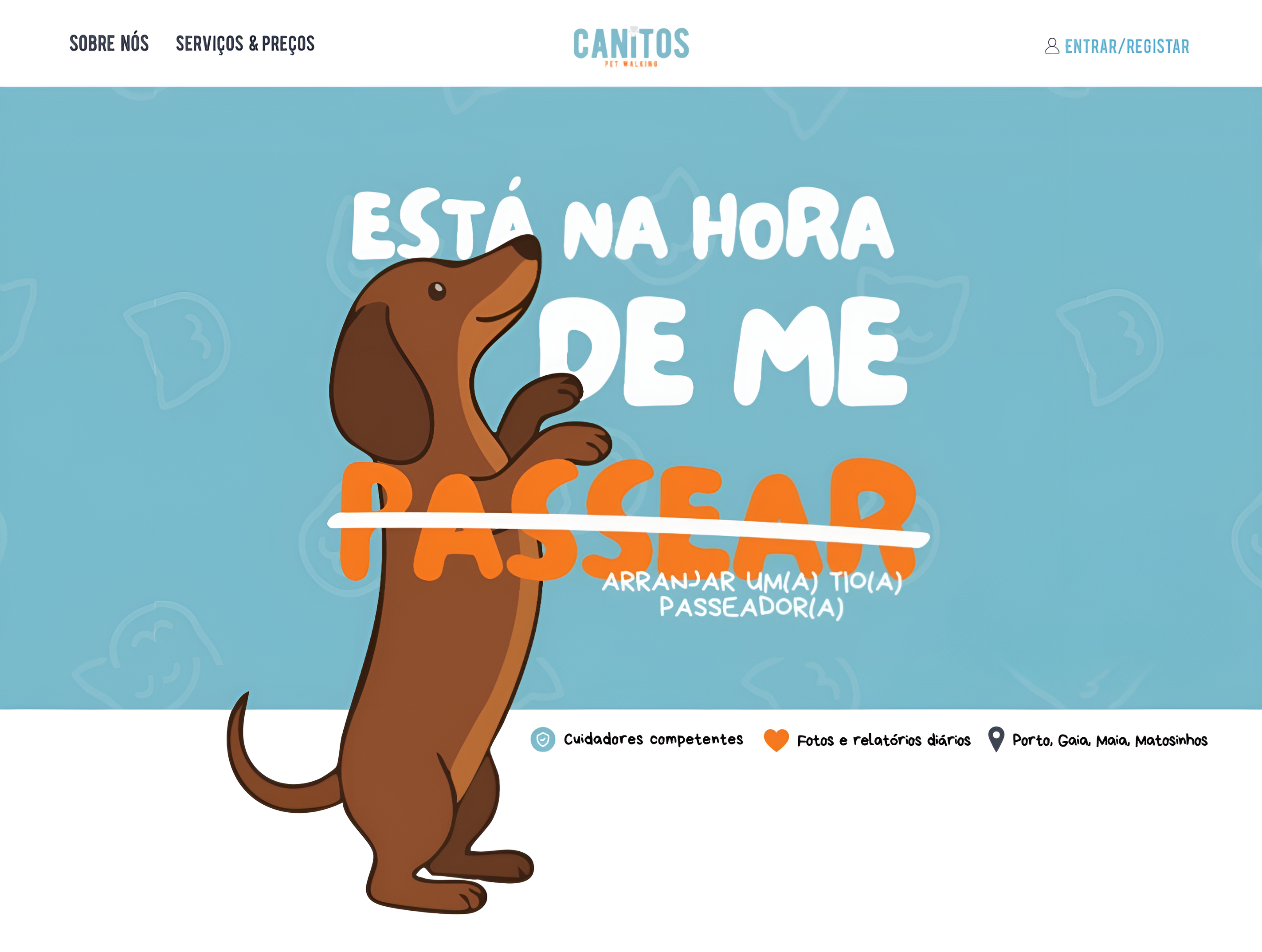 Canitos Porto – Serviço profissional de Dog Walking e Pet Sitting no Grande Porto